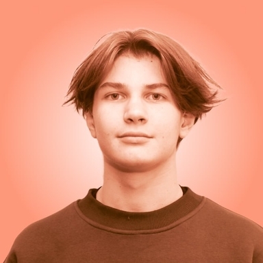 Участник: Дмитрий Сапченко